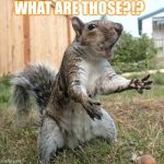 What Are Those Squirrel | WHAT ARE THOSE?!? | image tagged in what are those squirrel | made w/ Imgflip meme maker