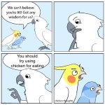 NŒ | You should try using chicken for eating | image tagged in custom ur wise cockatoo | made w/ Imgflip meme maker