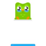 Duolingo hasen't seen you in a while template