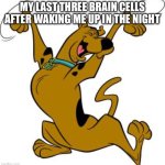 scooby doo | MY LAST THREE BRAIN CELLS AFTER WAKING ME UP IN THE NIGHT | image tagged in scooby doo | made w/ Imgflip meme maker