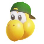 Hat koopa