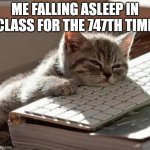 tired cat | ME FALLING ASLEEP IN CLASS FOR THE 747TH TIME | image tagged in tired cat,school,school memes,sleeping,memes | made w/ Imgflip meme maker