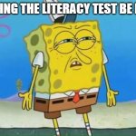Confused Spongebob | TAKING THE LITERACY TEST BE LIKE | image tagged in confused spongebob | made w/ Imgflip meme maker