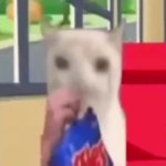 Cat eating chip meme