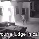 Judge in california | POV your a judge in california | image tagged in gifs,silly | made w/ Imgflip video-to-gif maker