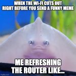 When Wi-Fi | WHEN THE WI-FI CUTS OUT RIGHT BEFORE YOU SEND A FUNNY MEME; ME REFRESHING THE ROUTER LIKE... | image tagged in stingray wall,fish,stingray | made w/ Imgflip meme maker