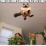 Cat flying inflation | INFLATION COMING AT US LIKE | image tagged in cat flying at you,inflation | made w/ Imgflip meme maker