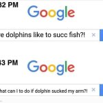 that's why you need just to throw fish to your dolphin XD XP | Are dolphins like to succ fish?! What can I to do if dolphin sucked my arm?! | image tagged in google 11 minutes later | made w/ Imgflip meme maker