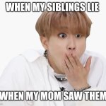 Han | WHEN MY SIBLINGS LIE; WHEN MY MOM SAW THEM | image tagged in han | made w/ Imgflip meme maker