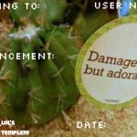 itz_cactus_lol's announcement template