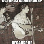 Daddy Rabbit memes | WHY WAS THE OCTOPUS DANGEROUS? BECAUSE HE WAS WELL ARMED | image tagged in daddy rabbit memes,funny,octopus,rock and roll | made w/ Imgflip meme maker