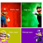 Mario Broz. Misc Views. (Text Fixed) meme