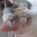 eu na minha tristeza