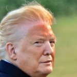 Donald Trump DJT Orange face paint clown traitor pedophile meme