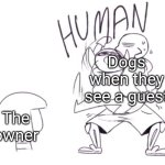 Lol | Dogs when they see a guest; The owner | image tagged in blueberry come here human,dog,dogs,underswap,sans,undertale | made w/ Imgflip meme maker