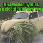 Vegan runner | First we had hybrids then electric and now vegan. | image tagged in vegan,cars,hybrids,electric,now vegan,fun | made w/ Imgflip meme maker