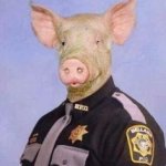 Safely Pig Hardcode