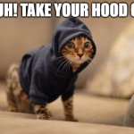 Hoody Cat Meme | BRUH! TAKE YOUR HOOD OFF! | image tagged in memes,hoody cat | made w/ Imgflip meme maker