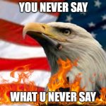 U NEVER SAY | YOU NEVER SAY; WHAT U NEVER SAY | image tagged in murica patriotic eagle | made w/ Imgflip meme maker