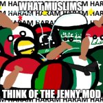 delete this mod | WHAT MUSLIMS; THINK OF THE JENNY MOD | image tagged in countryballs haram,minecraft,delete this plz,delete this | made w/ Imgflip meme maker