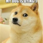 :( | MY DOG IS DYING :( | image tagged in sad doge,sad,dog,not,funny | made w/ Imgflip meme maker