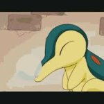 I sleep (cyndaquill edition) meme