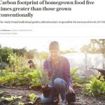 Carbon footprint of homegrown food