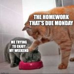 Cat bully | THE HOMEWORK THAT'S DUE MONDAY; ME TRYING TO ENJOY MY WEEKEND | image tagged in cat bully,bully,cats,cat,funny,memes | made w/ Imgflip meme maker