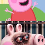 Peppa pig before after