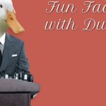 Fun Facts with Duck