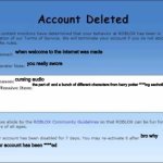 Roblox 2009 Banned Message | when welcome to the internet was made; you really swore; cursing audio; the part of: and a bunch of different characters from harry potter ****ing eachother; bro why; your account has been ****ed | image tagged in roblox 2009 banned message | made w/ Imgflip meme maker