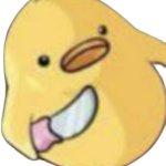Sshib 1