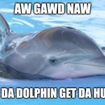 Oh god no! I feel like dolphins gets upset every time! | AW GAWD NAW; WHY DA DOLPHIN GET DA HURT?! | image tagged in promiscuous problems dolphin | made w/ Imgflip meme maker