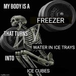 Ice cubes | FREEZER; WATER IN ICE TRAYS; ICE CUBES | image tagged in my body is a x that turns y into z,ice cubes,ice cube,memes,water,this is beyond science | made w/ Imgflip meme maker