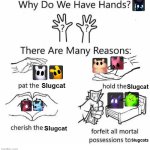 Rain World why do we have hands. | Slugcat; Slugcat; Slugcat; Slugcats | image tagged in why do we have hands all blank | made w/ Imgflip meme maker