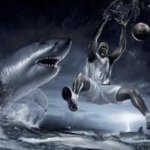 Shaquille o Neal dunking in front of sharks meme