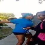 Sharkeisha