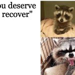 recovery raccoon template
