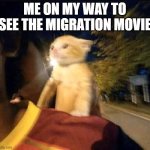 liked it, dont care | ME ON MY WAY TO SEE THE MIGRATION MOVIE | image tagged in on my way cat,migration movie,memes,funny,cats,migration | made w/ Imgflip meme maker
