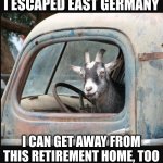 I survived the Cold War goat | I ESCAPED EAST GERMANY; I CAN GET AWAY FROM THIS RETIREMENT HOME, TOO | image tagged in escape goat,east germany,cold war,retirement home,memes,get away | made w/ Imgflip meme maker