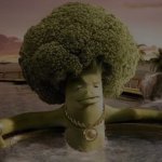 Broccoli