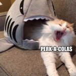 real | PLAYERS; PERK-A-COLAS | image tagged in shark eating cat | made w/ Imgflip meme maker