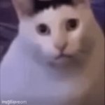 huh | H U H | image tagged in gifs,huh,meme | made w/ Imgflip video-to-gif maker