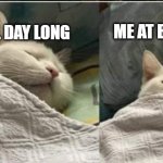 Me status | ME AT BED TIME; ME ALL DAY LONG | image tagged in two cats sleeping blanket | made w/ Imgflip meme maker