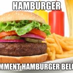 yes why not | HAMBURGER; COMMENT HAMBURGER BELOW | image tagged in memes,dank memes,oh wow are you actually reading these tags,comments,dark humor,bruh | made w/ Imgflip meme maker