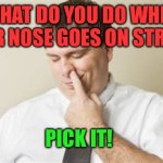 Of course | WHAT DO YOU DO WHEN YOUR NOSE GOES ON STRIKE? PICK IT! | image tagged in picky eater,funny,dad joke | made w/ Imgflip meme maker