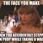 Taylor Swift Golden Globe | THE FACE YOU MAKE; WHEN YOU ACCIDENTALY STEPPED ON POOP WHILE TAKING A WALK | image tagged in taylor swift golden globe,memes,so true | made w/ Imgflip meme maker