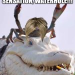 Waterhole featuring Albino Gator & Crabgallagher | INTRODUCING THE ROCK MUSIC SENSATION, WATERHOLE!!! WITH ALBINO GATOR & CRABGALLAGHER | image tagged in newb crab carried by pro gator,albino gator,crabgallagher,memes,new band,waterhole | made w/ Imgflip meme maker