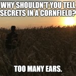 Daily Bad Dad Joke January 30, 2024 | WHY SHOULDN'T YOU TELL SECRETS IN A CORNFIELD? TOO MANY EARS. | image tagged in james comey in a cornfield | made w/ Imgflip meme maker