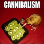 Cannibalism